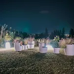 Palmi Lejlighed
