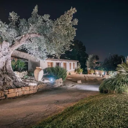 Palmi Agrigento